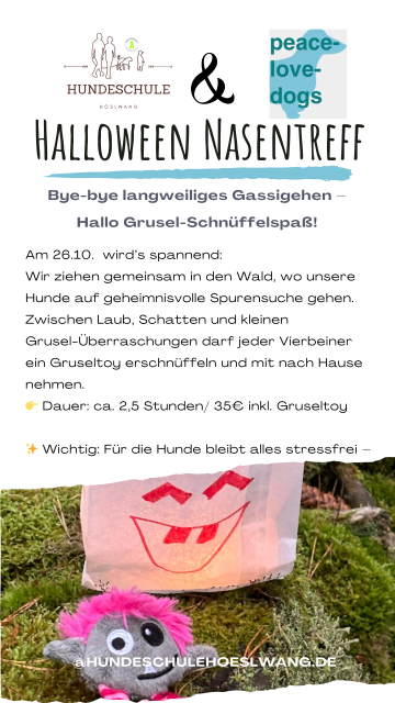 halloweenNasentreff25