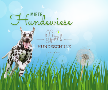 Miete Hundeweise