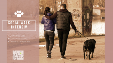 Socialwalk