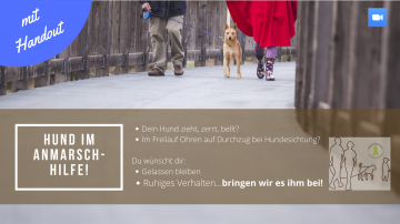 Hilfe Hund kommt