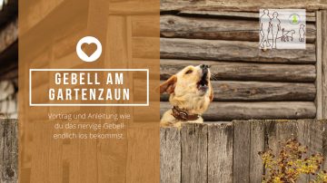 Gebell am Gartenzaun (1)