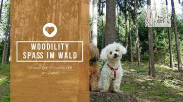 Woodility