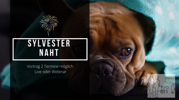Sylvesternacht