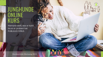 Junghunde onlinekurs