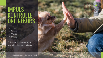 Impulskontrollspiele Online